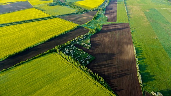 Platteland met groene en gele landbouwvelden. door Stefan Milivojevic (bron: shutterstock)