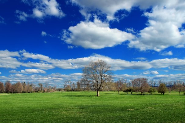 gras landschap veld cloud platteland door Pixino (bron: Pixino)