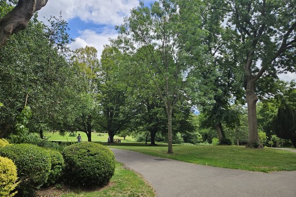 Waterloo Park in Highgate door Maaike Schravesande (bron: Maaike Schravesande)