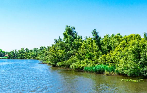 Rivier de Amer in Noord-Brabant. door Poleijphoto (bron: Shutterstock)