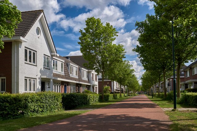 Woonwijk door Donaldb (bron: Shutterstock)