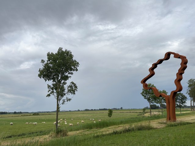 ‘De Bomen boven Maaiveld’ in Leens (3) door Kees de Graaf (bron: Kees de Graaf)