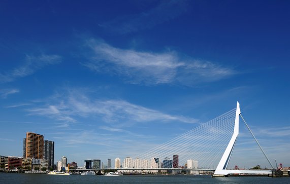 Erasmusbrug, Rotterdam door Eric Gevaert (bron: shutterstock.com)