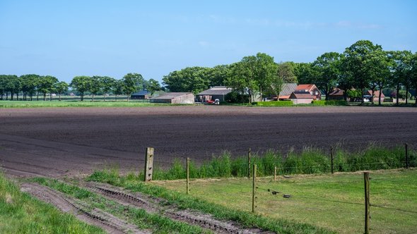 Verse ingezaaide landbouwgrond voor de voedingsindustrie op het Nederlandse platteland in Huijbergen, Noord-Brabant, Nederland 16 mei 2025 door Werner Lerooy (bron: Shutterstock)