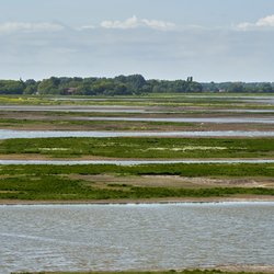 Nationaal park Oosterschelde door Jan von nebenan (bron: Shutterstock)