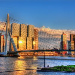 De Erasmusbrug en de Rotterdam in Rotterdam door Leonid Andronov (bron: Shutterstock)