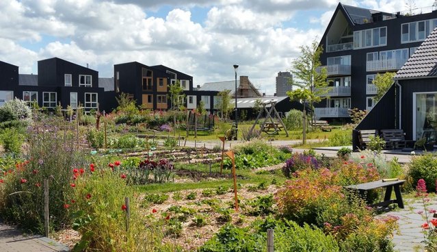 Natuurinclusief wonen - biodiversiteit door AM Landskab (bron: AM Landskab)