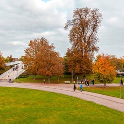 Maastricht door ColorMaker (bron: shutterstock)