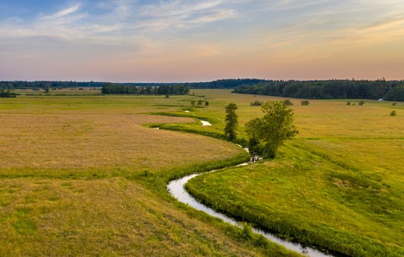 Het kronkelende riviertje Koningsdiep door Rudmer Zwerver (bron: Shutterstock)