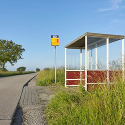 Busstop op het platteland door Harry Wedzinga (bron: Shutterstock)