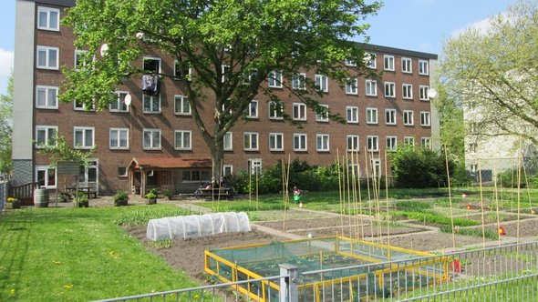 Osdorp, Amsterdam door Arwen Matthijssen (bron: shutterstock)