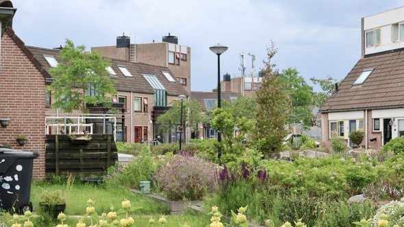 Heerhugowaard Nederland door Yuliia24 (bron: Shutterstock)