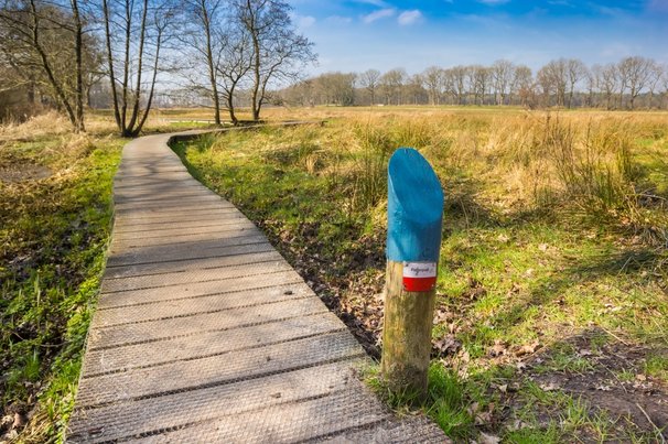 Pieterpad wandelroute in Drenthe door Marc Venema (bron: shutterstock)