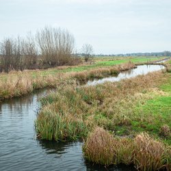 Bloemendaal polder, Gouda door Menno van der Haven (bron: Shutterstock)