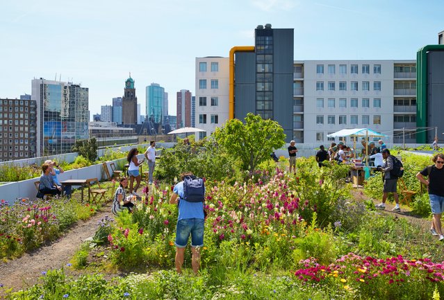 Een daktuin op een kantoor in Rotterdam door R. de Bruijn_Photography (bron: shutterstock)