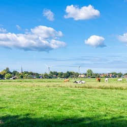 Nederlands landschap door Menno van der Haven (bron: Shutterstock)