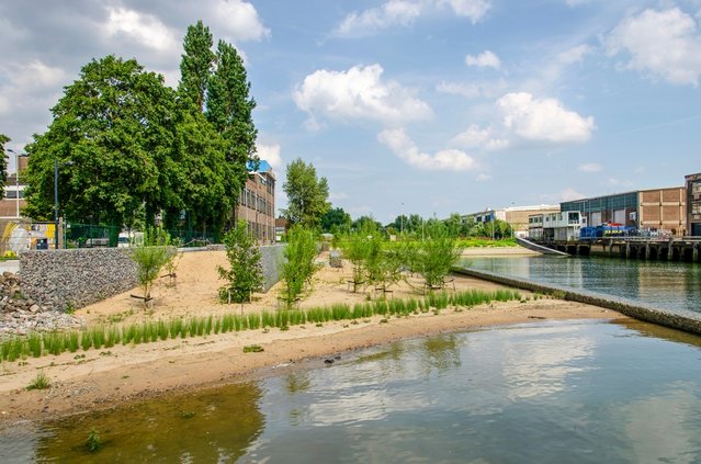 Oprukkend groen in de Keilehaven in het M4H gebied door Frans Blok (bron: shutterstock)