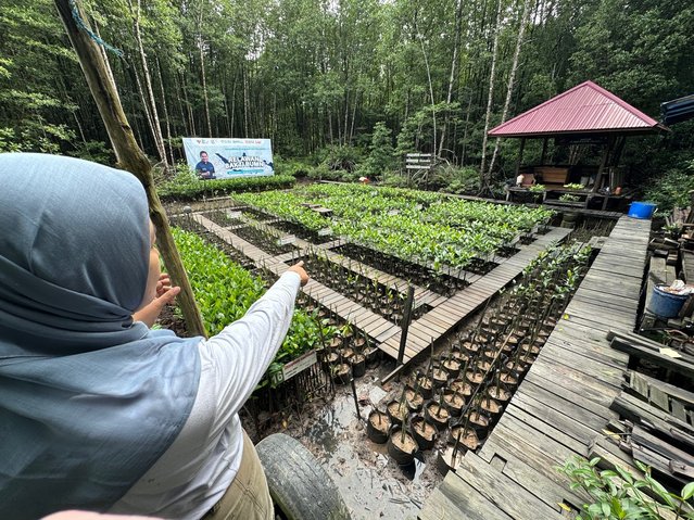 Lokale gemeenschappen spelen een belangrijke rol in de bescherming van waardevolle ecosystemen zoals mangroves door Steffen Nijhuis (bron: TU Delft)