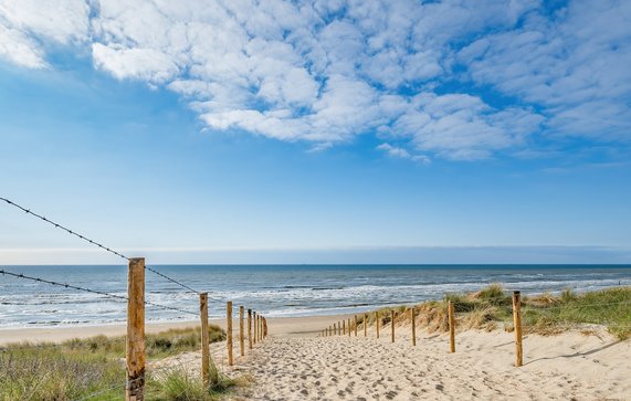 Duinen Noordzee door Corri Seizinger (bron: Shutterstock)