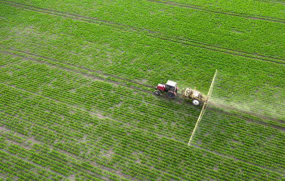 Spring agricultural work in the fields. The tractor sprays crops with herbicides, insecticides and pesticides. door mykhailo pavlenko (bron: Shutterstock)