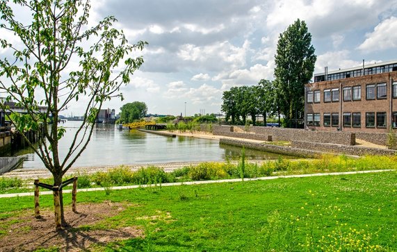 Keilehaven in het Merwe Vierhavengebied door Frans Blok (bron: Shutterstock)