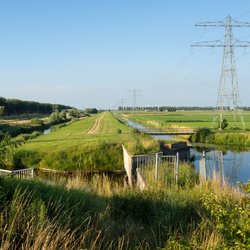 Polderlandschap in Haarlemmermeer door De Jongh Photography (bron: Shutterstock)