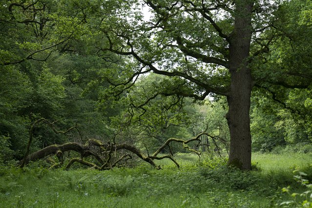 Natuurwaarden in Ruiten Aa-gebied door Nadine van den Berg (bron: MooiNL)