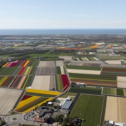 Luchtfoto van Nederlands landschap door Aerovista Luchtfotografie (bron: Shutterstock)