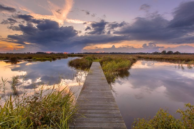 Natuurgebied De Onlanden, Groningen door Rudmer Zwerver (bron: shutterstock)