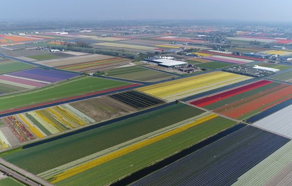 Luchtfoto van Lisse door GLF Media (bron: Shutterstock)