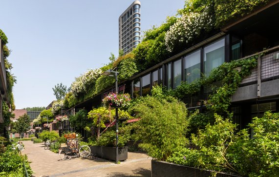 Groene straat in het centrum van Eindhoven door Lea Rae (bron: Shutterstock)