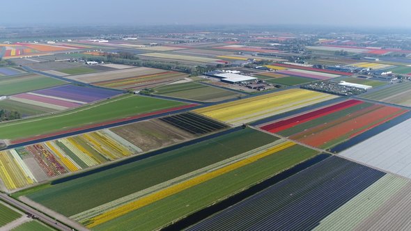 Luchtfoto van Lisse door GLF Media (bron: Shutterstock)