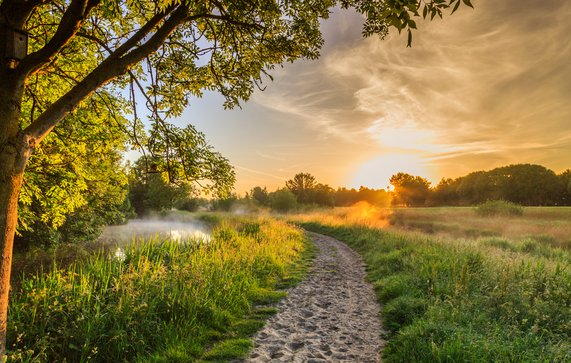 Nederlandse natuur door Photodigitaal.nl (bron: shutterstock.com)