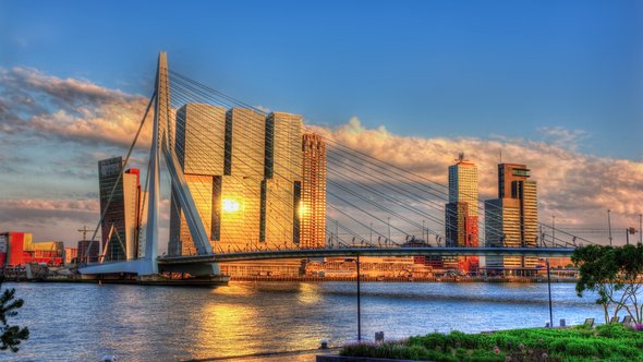 De Erasmusbrug en de Rotterdam in Rotterdam door Leonid Andronov (bron: Shutterstock)