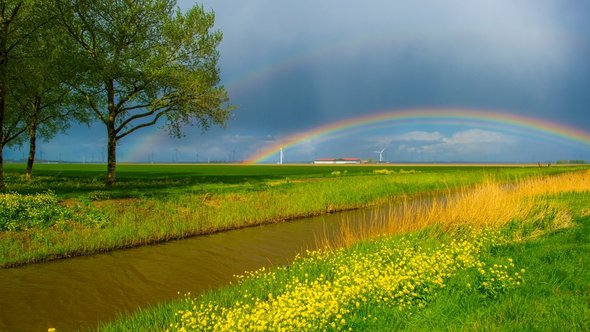 Regenboog over het landschap in Almere door Marijs Jan (bron: Shutterstock)