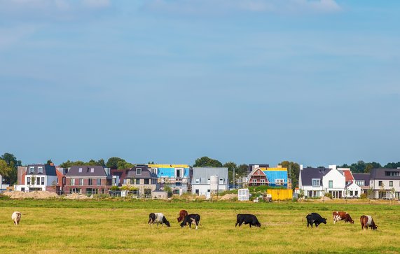 Nieuwbouw op landbouwgrond door Martin Bergsma (bron: Shutterstock.com)