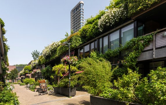 Groene natuurstraat in het centrum van de stad Eindhoven door Lea Rae (bron: Shutterstock)