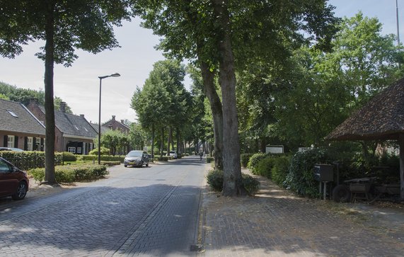 Groenstraat Udenhout door Ton van Rooij (bron: Gemeente Tilburg)