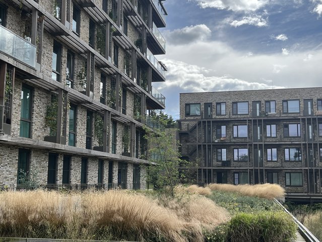 Hoogtorens in de Veluwse Proeftuin door Loos van Vliet (bron: Loos van Vliet)