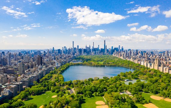 Luchtfoto van het Central Park in New York door Ingus Kruklitis (bron: Shutterstock)