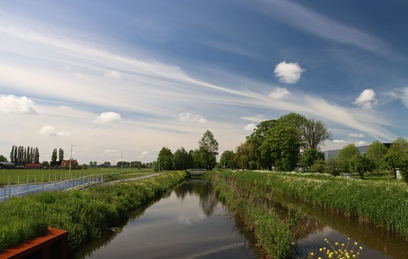 Meadows in area below 21 feet under sealevel, the Zuidplaspolder. The municipality of Zuidplas will build 8000 houses, 2 industrial zones and a forest between Rotterdam and Gouda cities door Andre Muller (bron: Shutterstock)