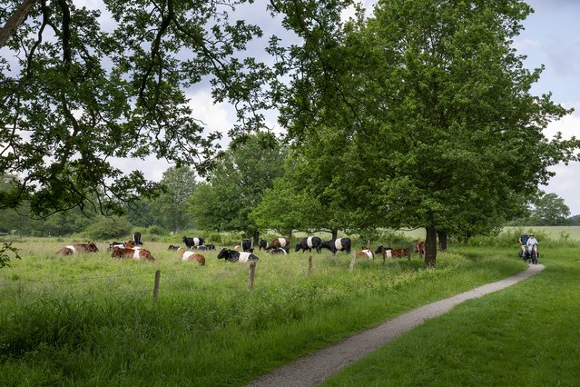 Agrarisch gebruik Ruiten Aa-gebied door Nadine van den Berg (bron: MooiNL)