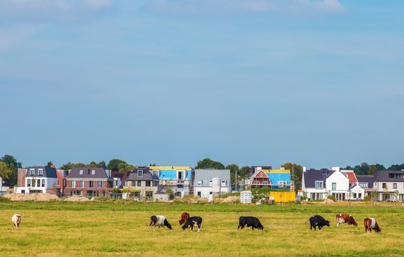 Construction of new houses in the province of North Holland near Amsterdam, The Netherlands door Martin Bergsma (bron: Shutterstock)