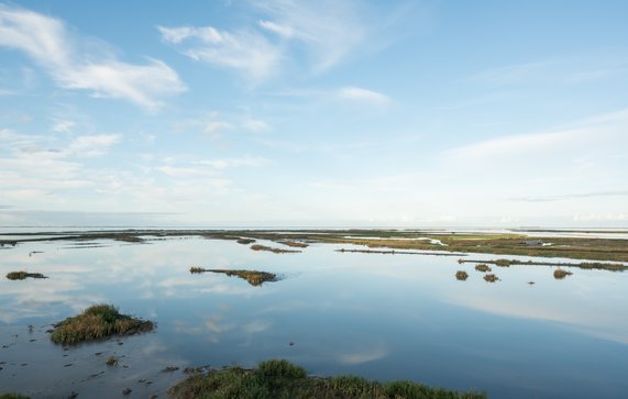 Marker Wadden door Theo Baart (bron: Theo Baart)