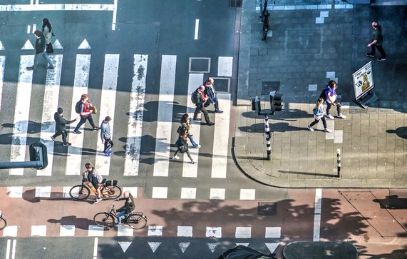 Zebrapad in Rotterdam door Frans Blok (bron: Shutterstock)