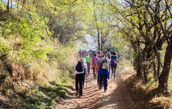 Wandelende mensen in het bos door Mita Stock Images (bron: Shutterstock)