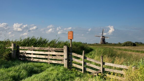 Donkse Laagten Alblasserwaard door jstuij (bron: Shutterstock)