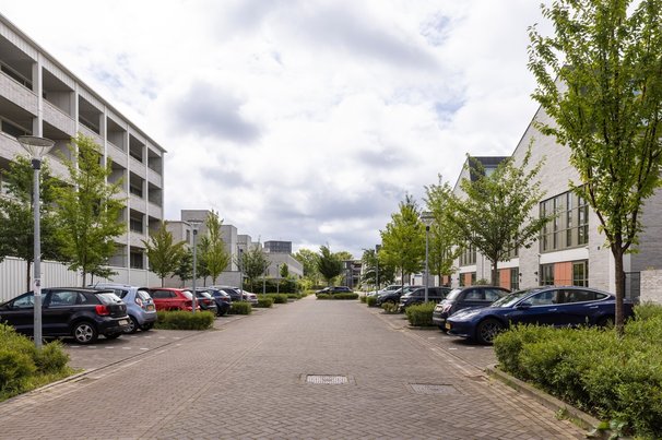 Eindhoven door Lea Rae (bron: Shutterstock)