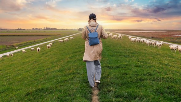 Lopen op de dijk in Oost-Friesland door K-FK (bron: Shutterstock)