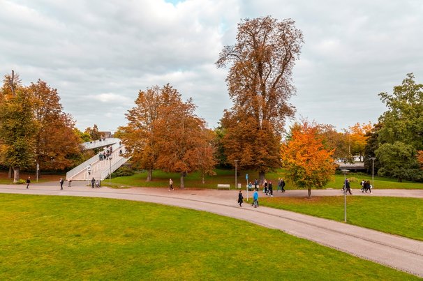 Maastricht door ColorMaker (bron: shutterstock)